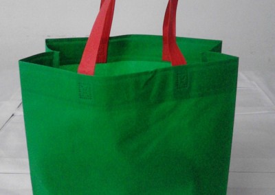 Green Polypropylene Bag | Opened | Woven