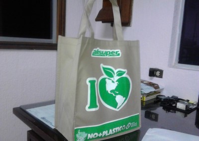 Beige Polypropylene Bag | Opened | Woven